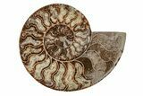 8.1" Agatized, Cut & Polished Ammonite Fossil - Madagasar - #191369-7